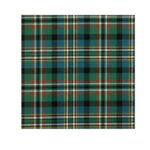 Scott Green Ancient Tartan Kilt Outfit - Image 2